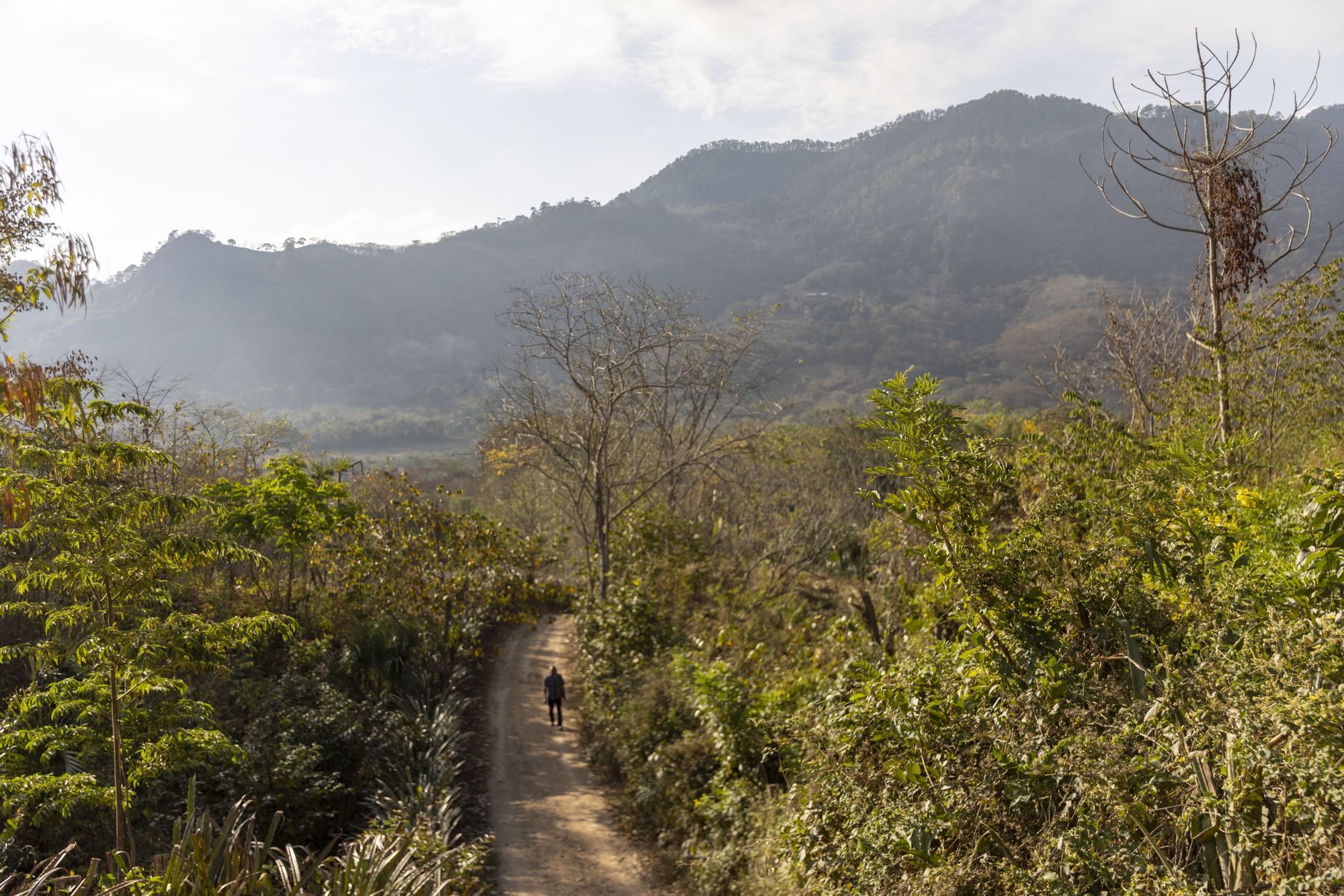 Photos of the landscapes and of Gregorio Perez Garcia, 60, a community leader, farmer and reporter, in Shupa, Guatemala on February 28, 2026. This area is the heart of the dry corridor.