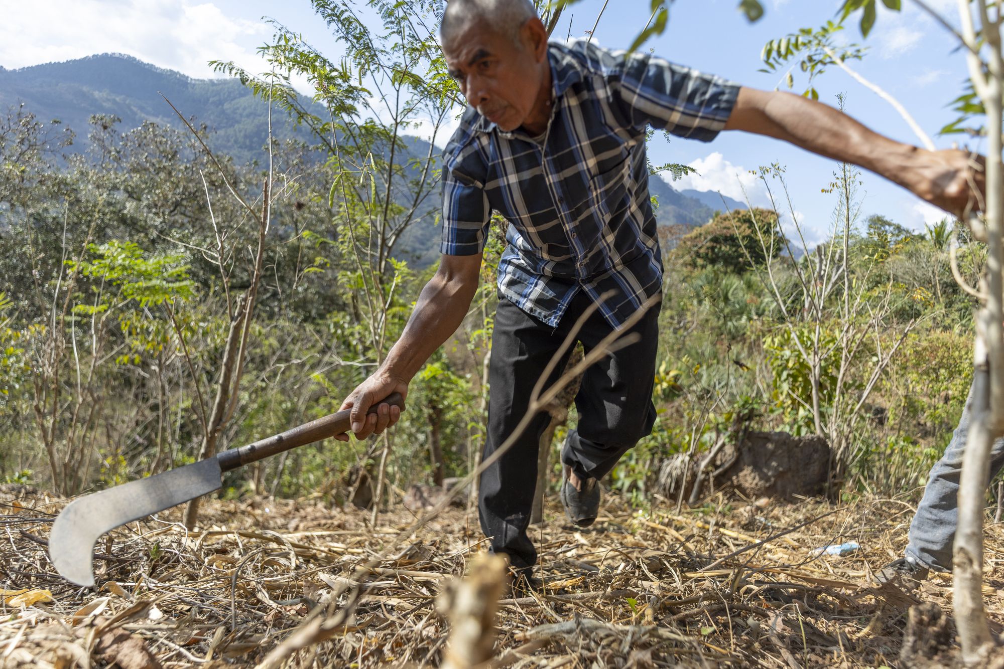 Photos of the landscapes and of Gregorio Perez Garcia, 60, a community leader, farmer and reporter, in Shupa, Guatemala on February 28, 2026. This area is the heart of the dry corridor. Working with Nicholas Gutierrez.