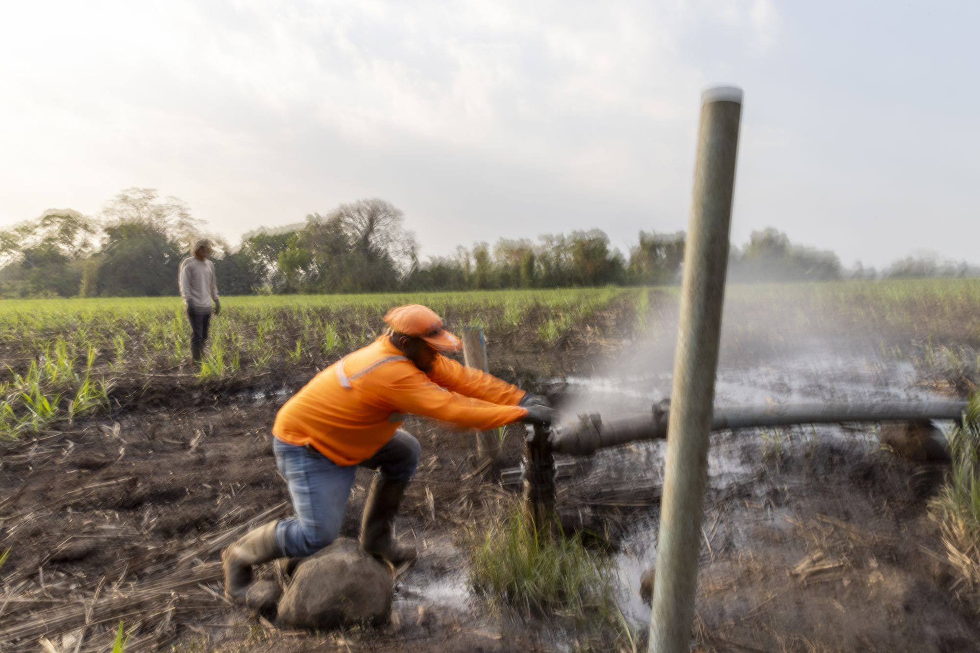 Irrigation workers for Pantaléon in Parselamiento El Cajon in sector El Betania, Guatemala on March 2, 2026.