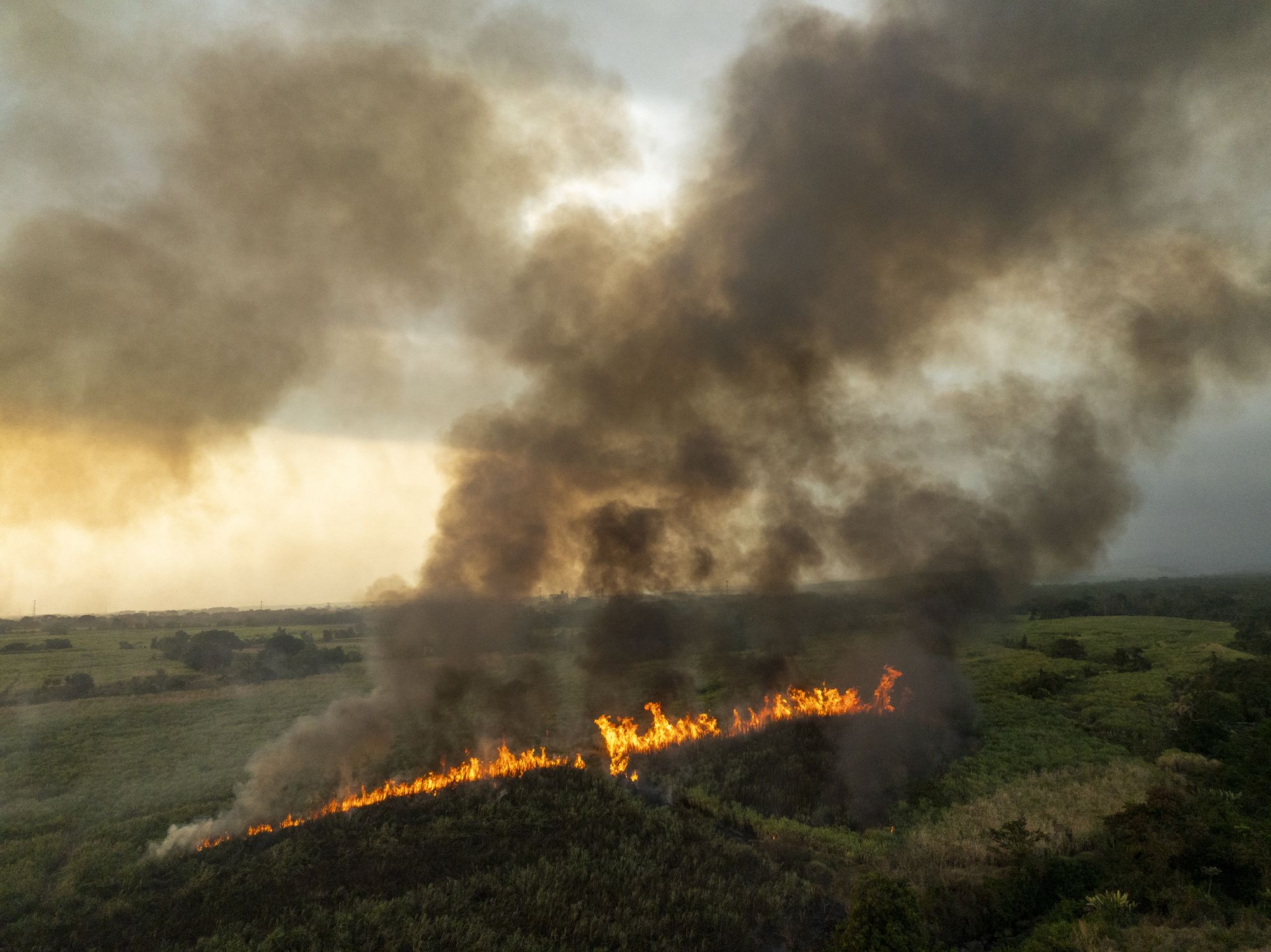 Views of a sugar cane field burning near Isquintla, Guatemala on March 4, 2026