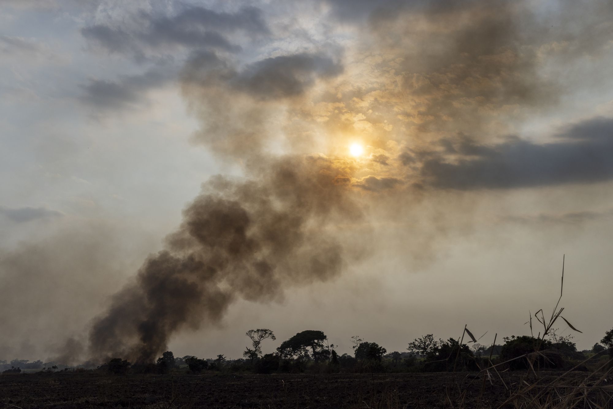 Views of a sugar cane field burning near Isquintla, Guatemala on March 4, 2026