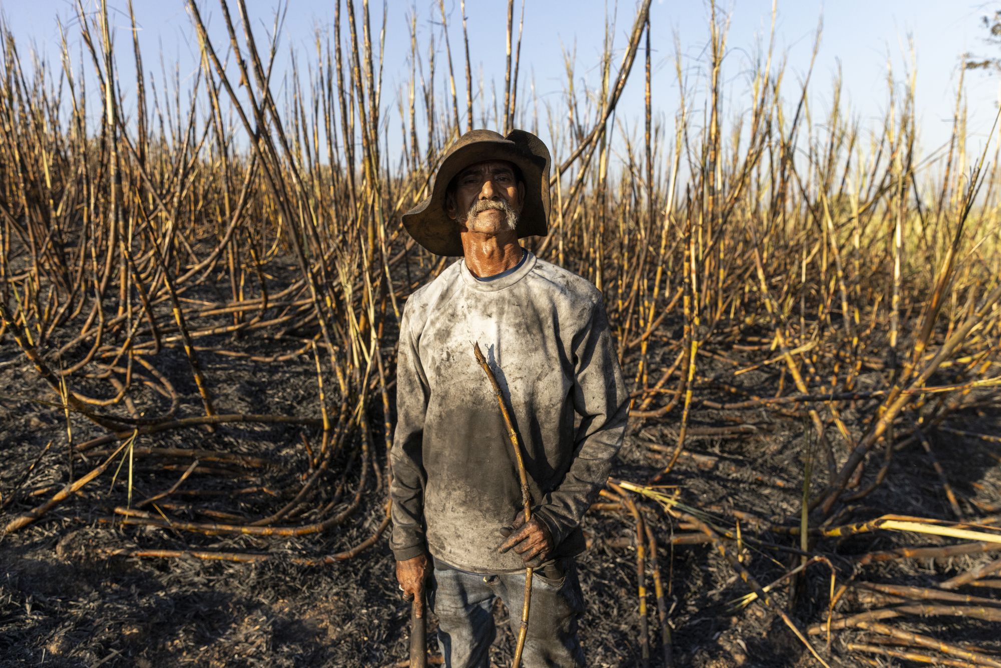 Sugar cane workers participating in La Isla Network's PREP program, which incorporates rest, water and shade into their work routine,  in Guazapa, El Salvador on March 7, 2026.