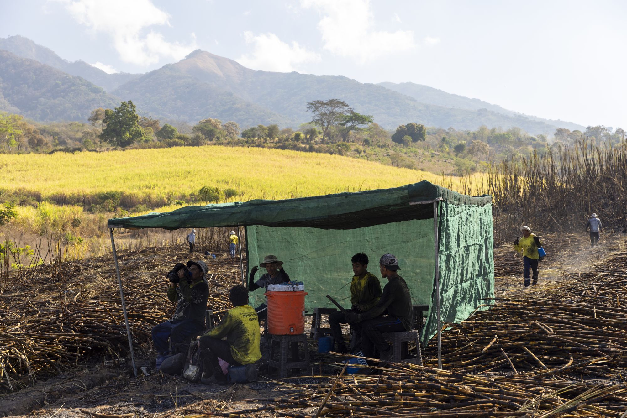 Sugar cane workers participating in La Isla Network's PREP program, which incorporates rest, water and shade into their work routine,  in Guazapa, El Salvador on March 7, 2026.