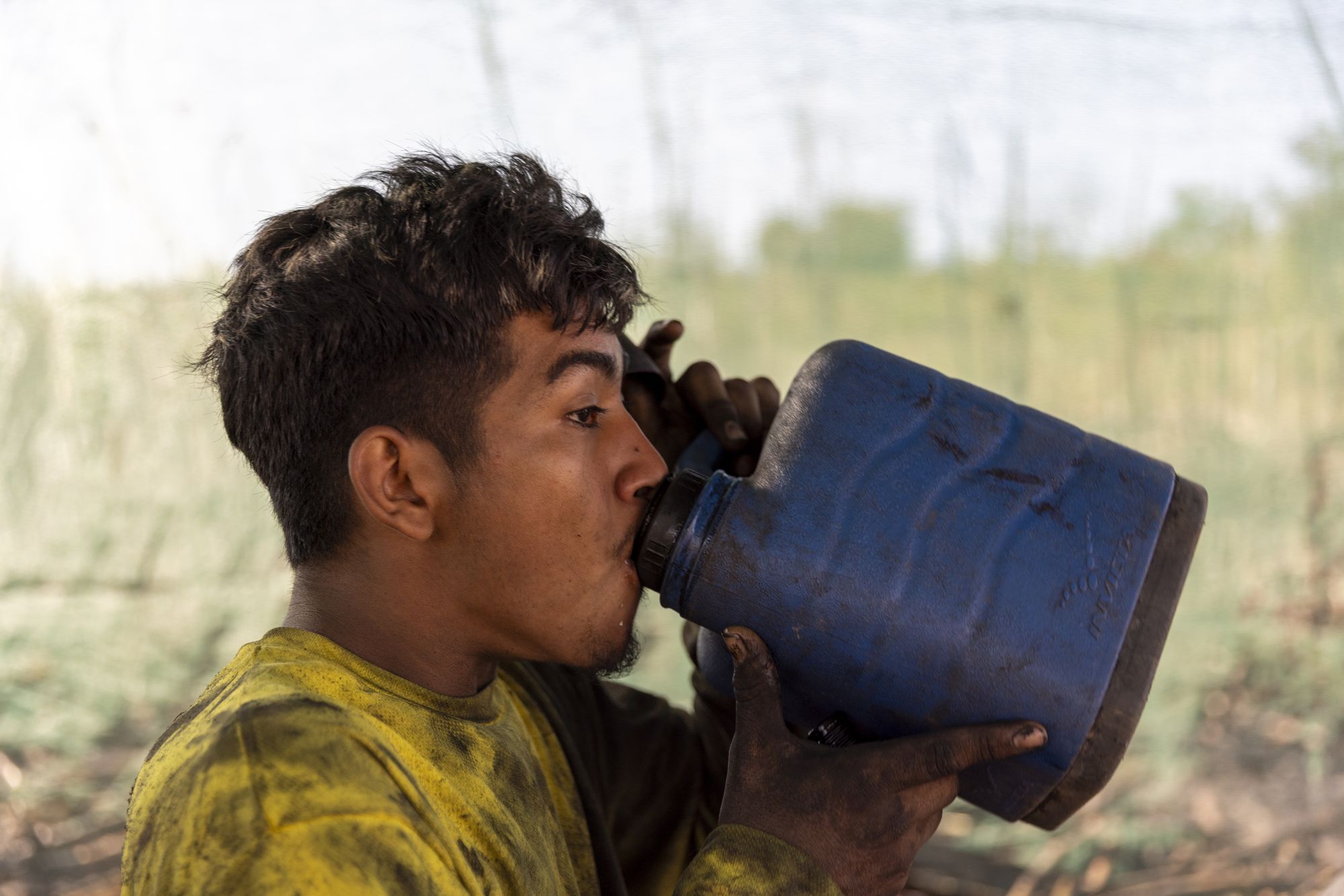 Sugar cane workers participating in La Isla Network's PREP program, which incorporates rest, water and shade into their work routine, in Guazapa, El Salvador on March 7, 2026.