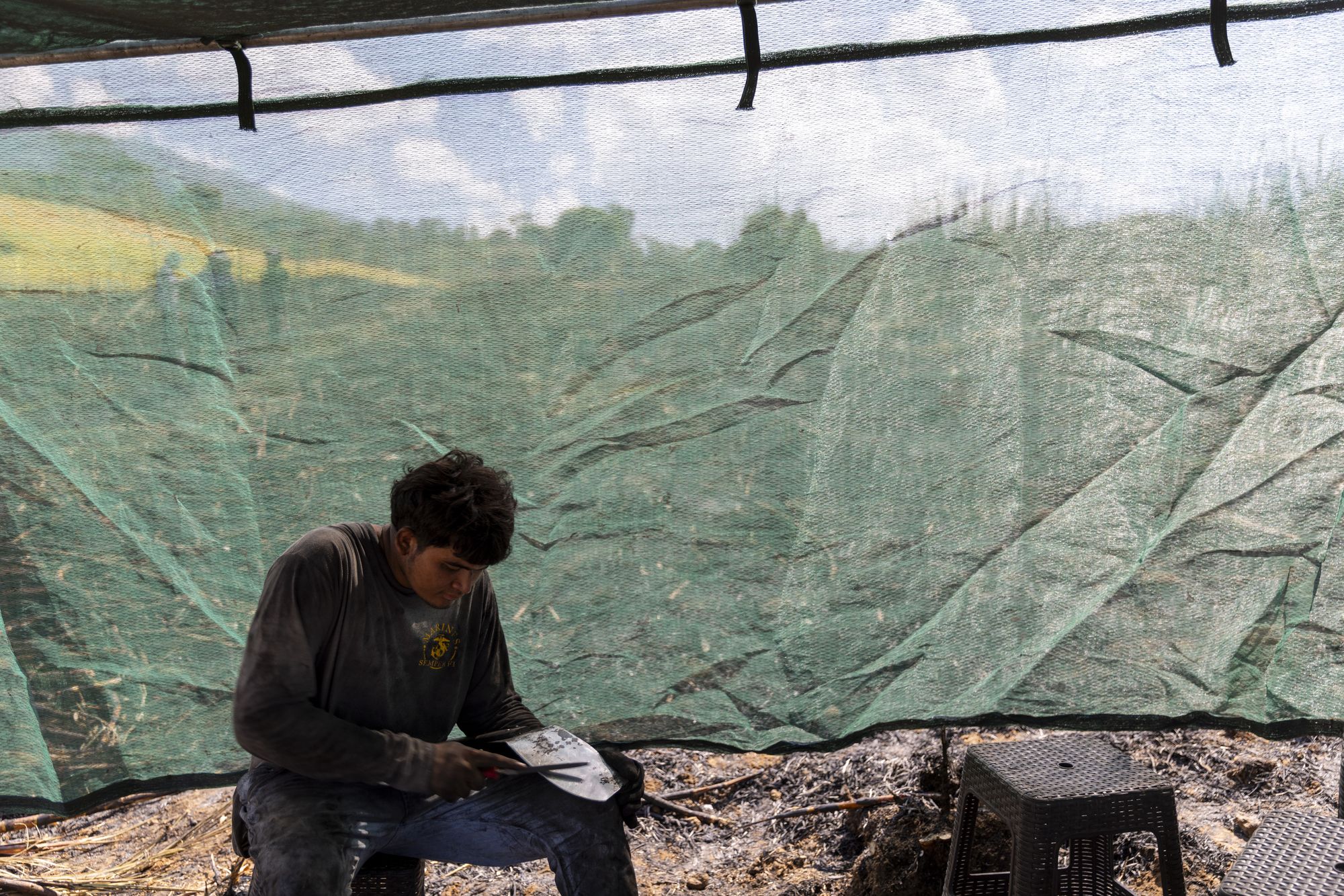 A cutter sharpens his machete during a scheduled break. A sharp blade is more efficient at cutting sugarcane, taking less out of a body than a dull one.